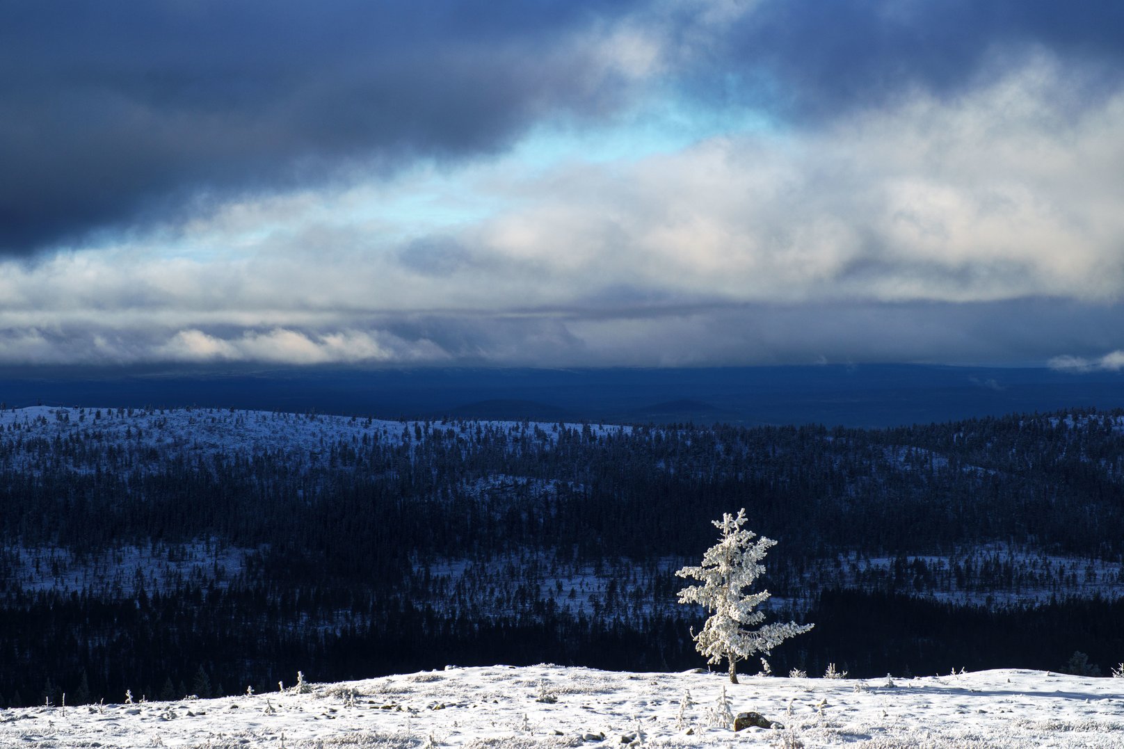 Kalfjället, Idre